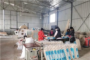 辦個(gè)衛(wèi)生紙加工廠(chǎng)有市場(chǎng)嗎，多久能夠回本